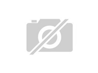 Rolex mit BrillantenHerrenuhr Day-Date Oyst